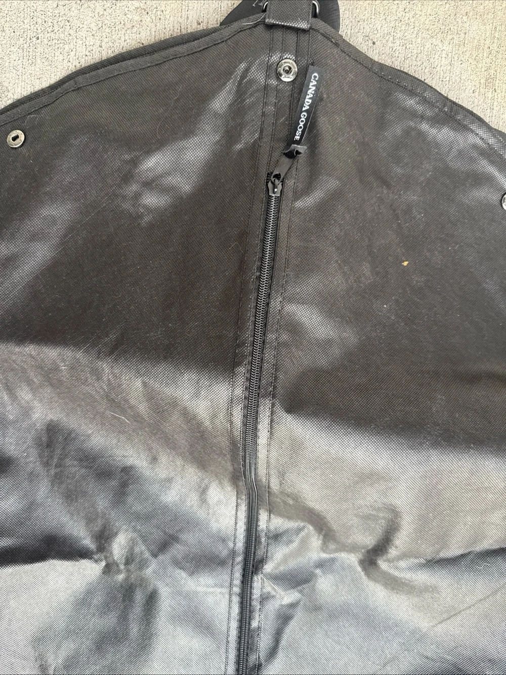 Canada Goose image shows